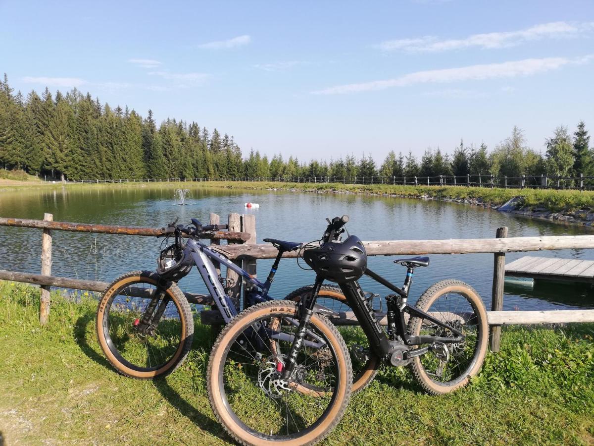 Weixl Schi&Bike Appartements-Bike In&Bike Out Neben Wexl Trails Bikepark Занкт-Корона-ам-Вексель Екстер'єр фото