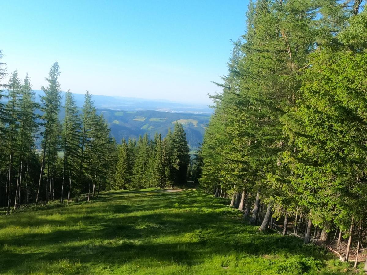 Weixl Schi&Bike Appartements-Bike In&Bike Out Neben Wexl Trails Bikepark Занкт-Корона-ам-Вексель Екстер'єр фото