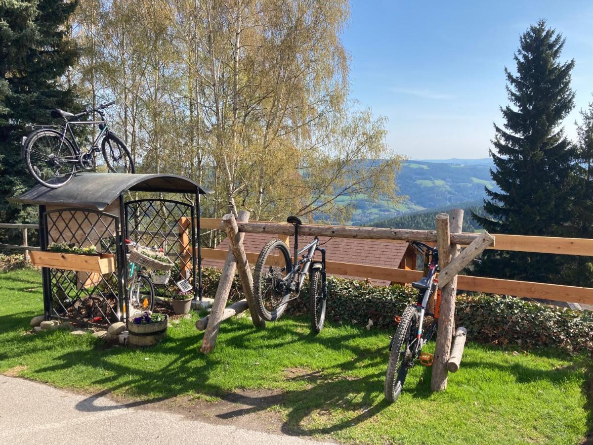 Weixl Schi&Bike Appartements-Bike In&Bike Out Neben Wexl Trails Bikepark Занкт-Корона-ам-Вексель Екстер'єр фото