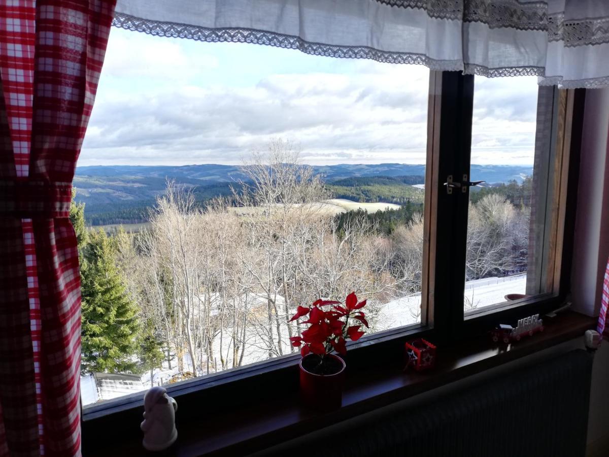 Weixl Schi&Bike Appartements-Bike In&Bike Out Neben Wexl Trails Bikepark Занкт-Корона-ам-Вексель Екстер'єр фото