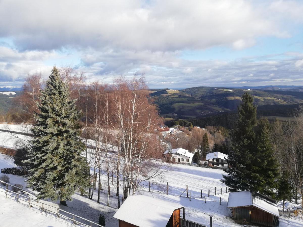 Weixl Schi&Bike Appartements-Bike In&Bike Out Neben Wexl Trails Bikepark Занкт-Корона-ам-Вексель Екстер'єр фото