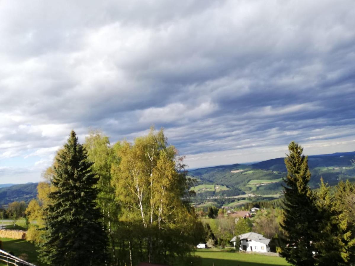 Weixl Schi&Bike Appartements-Bike In&Bike Out Neben Wexl Trails Bikepark Занкт-Корона-ам-Вексель Екстер'єр фото